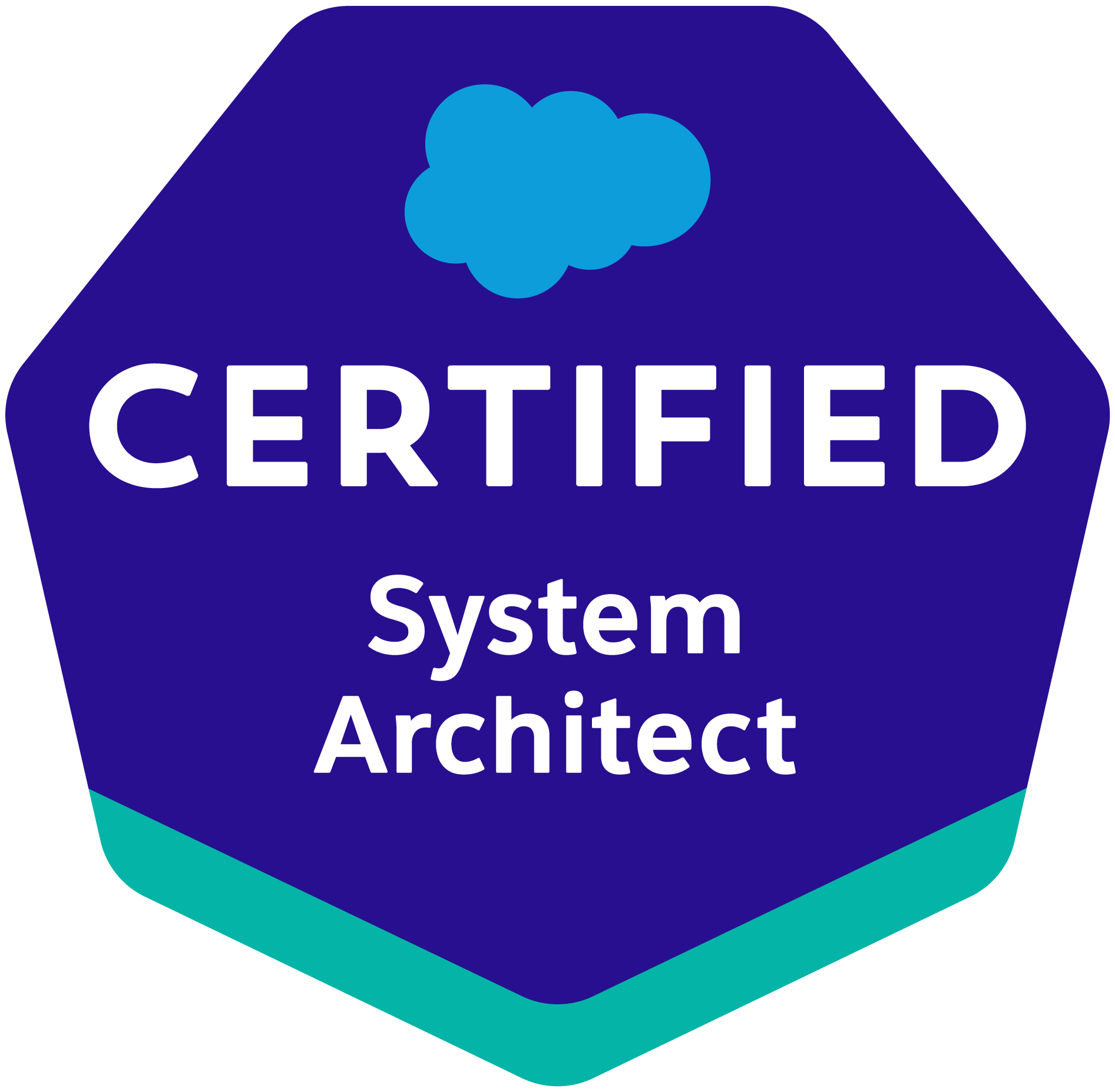 Salesforce System Architect