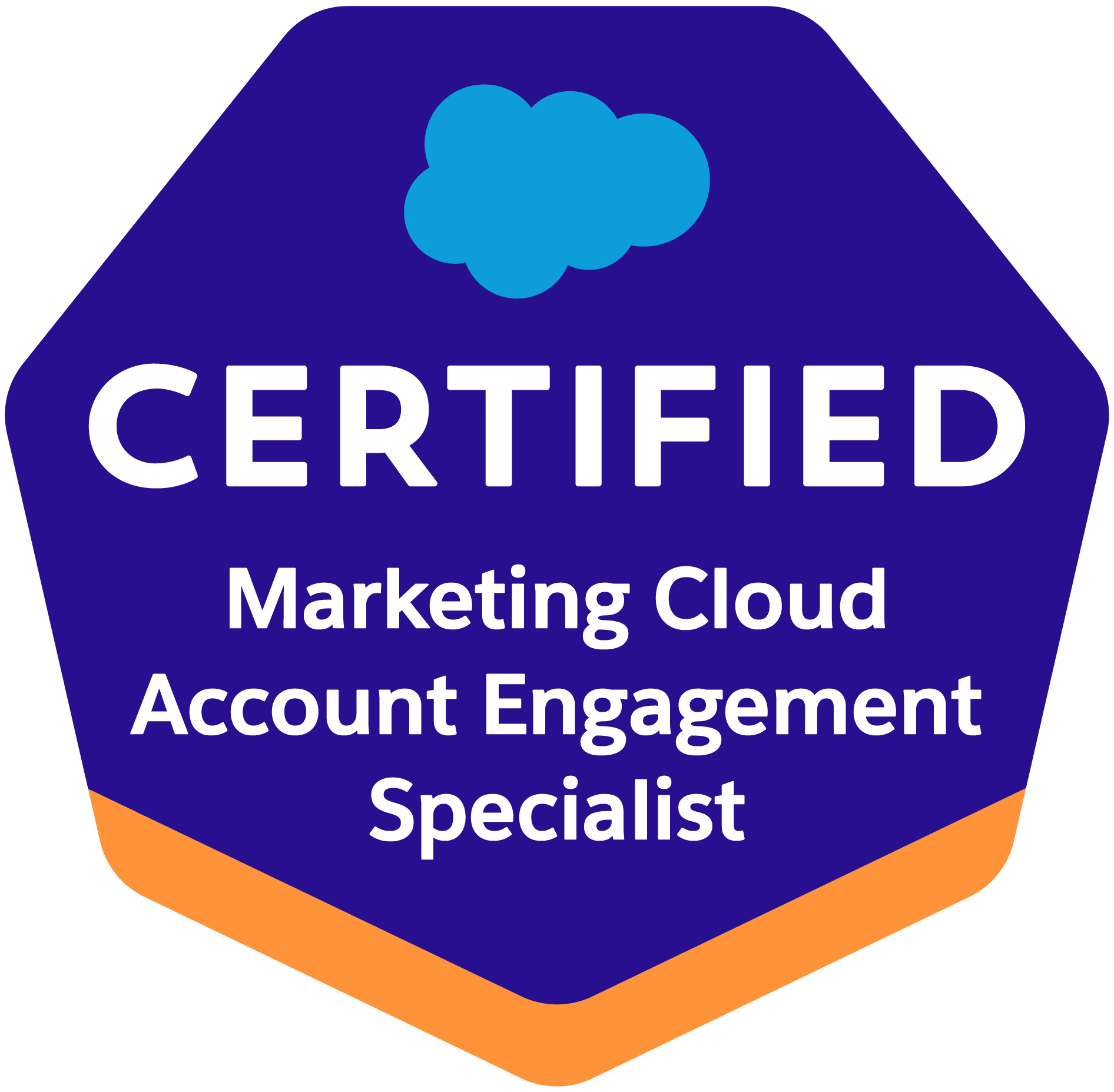 Salesforce Marketing Cloud Account Engagement Specialist